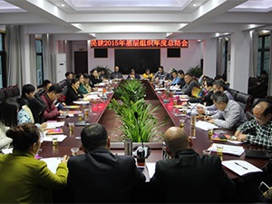 市委会召开2015年基层组织工作总结会议